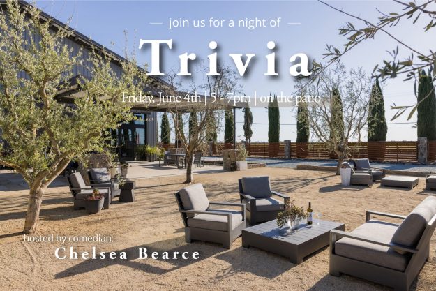 Trivia on the Patio photo of peltier patio with lounge chairs and olive trees