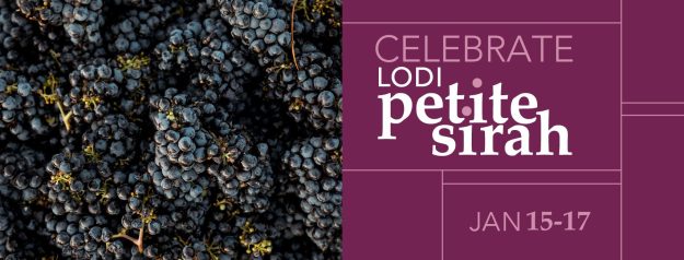 Celebrate Lodi Petite Sirah on purple background with mound of petite sirah grapes