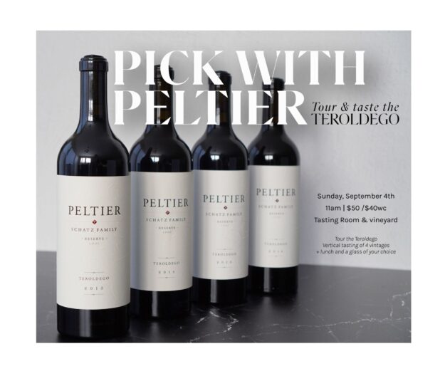 Pick with Peltier Teroldego tour and tasting 4 bottles of teroldego on black surface with white background
