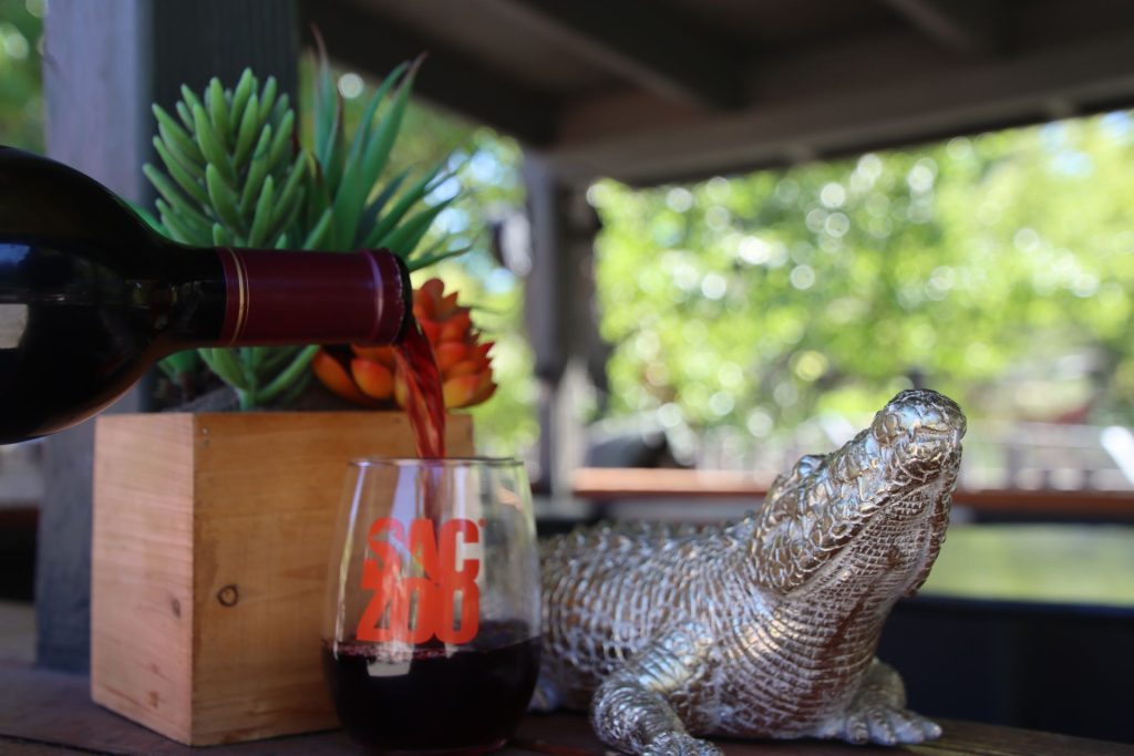 Wine on the Wild Side - bottle of wine being poured into wine glass next to alligator sculpture at Sac Zoo Wine on the Wild Side - bottle of wine being poured into wine glass next to alligator sculpture at Sac Zoo
