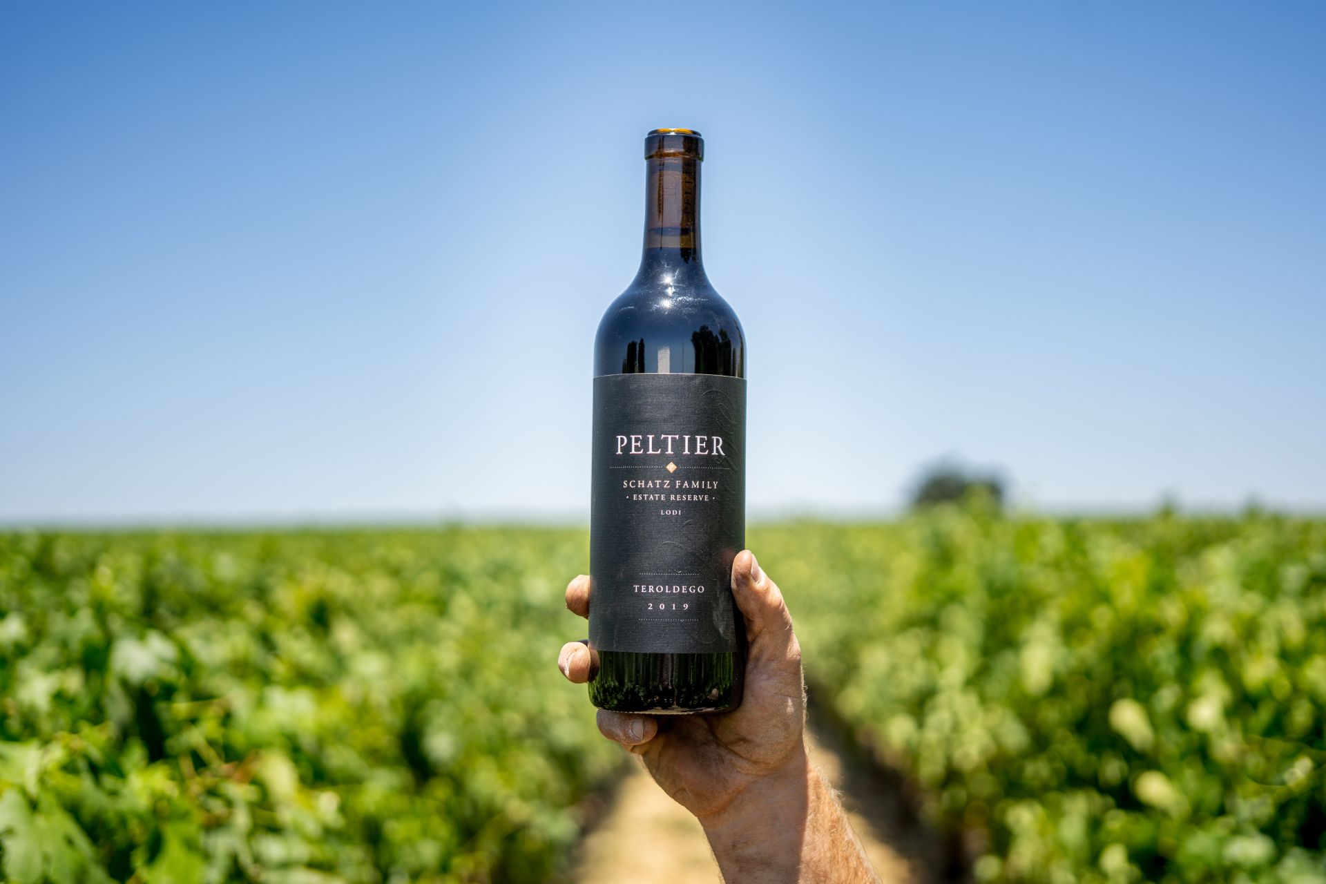 Bottle of Teroldego wine being held above Peltier vineyard